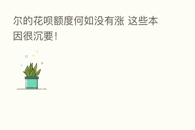尔的花呗额度何如没有涨 这些本因很沉要!