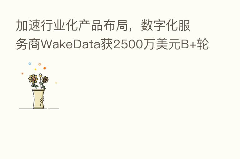 加速行业化产品布局，数字化服务商WakeData获2500万美元B+轮融资