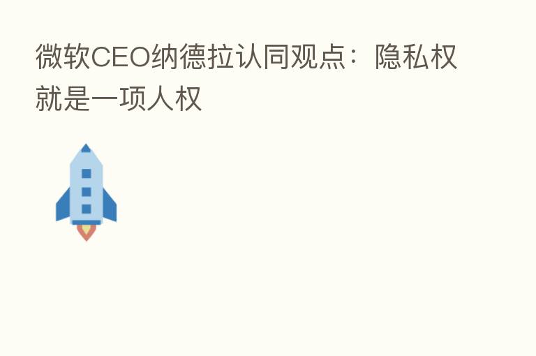 微软CEO纳德拉认同观点:隐私权就是一项人权