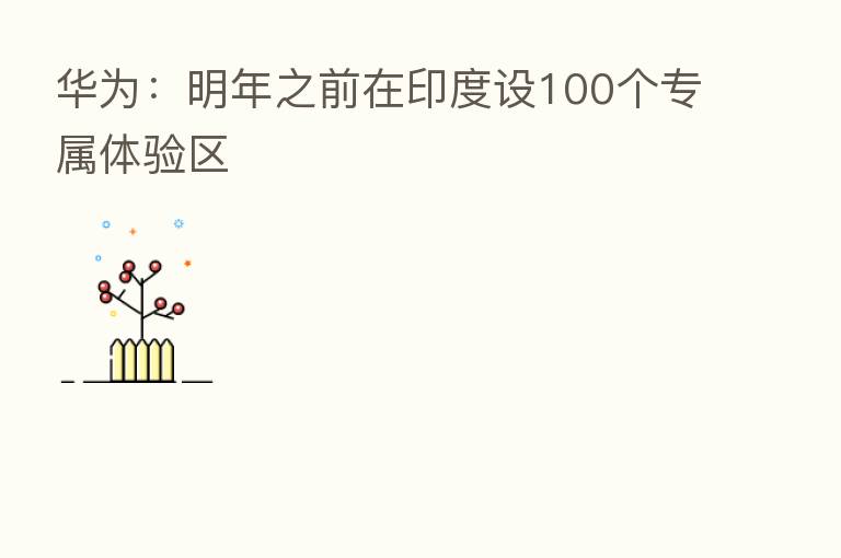 华为:明年之前在印度设100个专属体验区