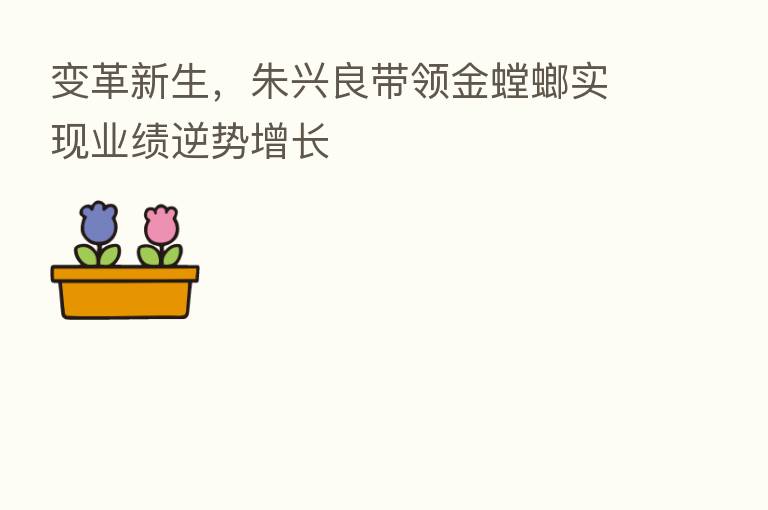 变革新生，朱兴良带领金螳螂实现业绩逆势增长