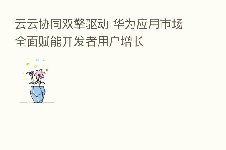 云云协同双擎驱动 华为应用市场全面赋能开发者用户增长