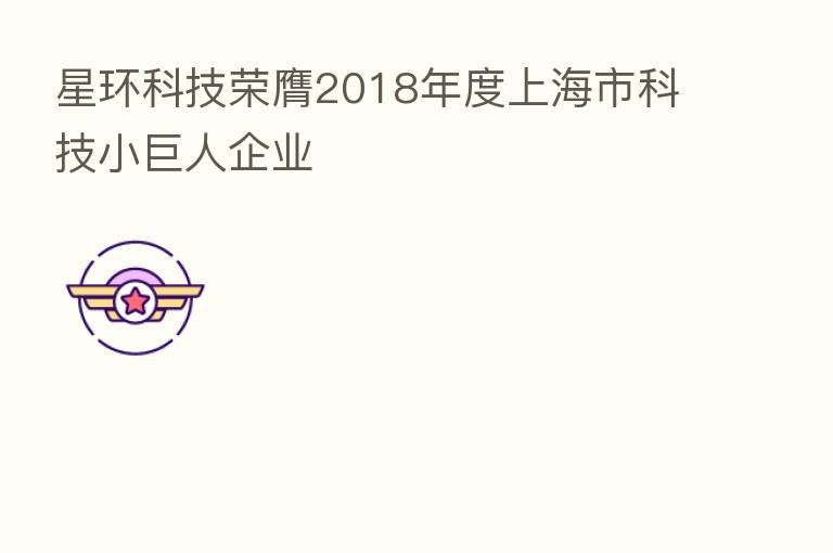 星环科技荣膺2018年度上海市科技小巨人企业