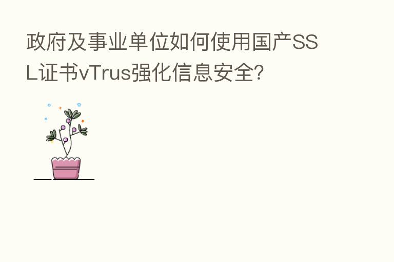 政府及事业单位如何使用国产SSL证书vTrus强化信息安全?