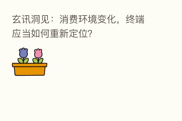玄讯洞见:消费环境变化,终端应当如何重新定位?