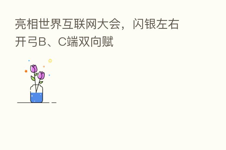 亮相世界互联网大会,闪银左右开弓B、C端双向赋