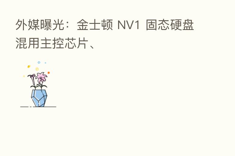 外媒曝光：金士顿 NV1 固态硬盘混用主控芯片、