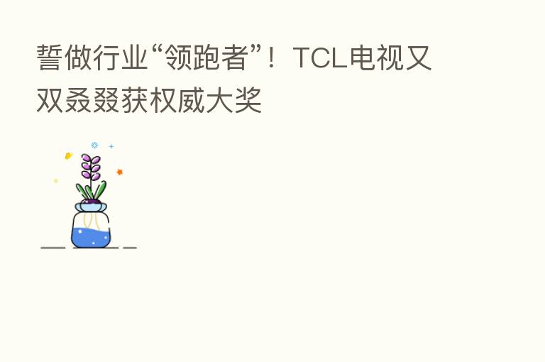 誓做行业“领跑者”！TCL电视又双叒叕获权威大奖