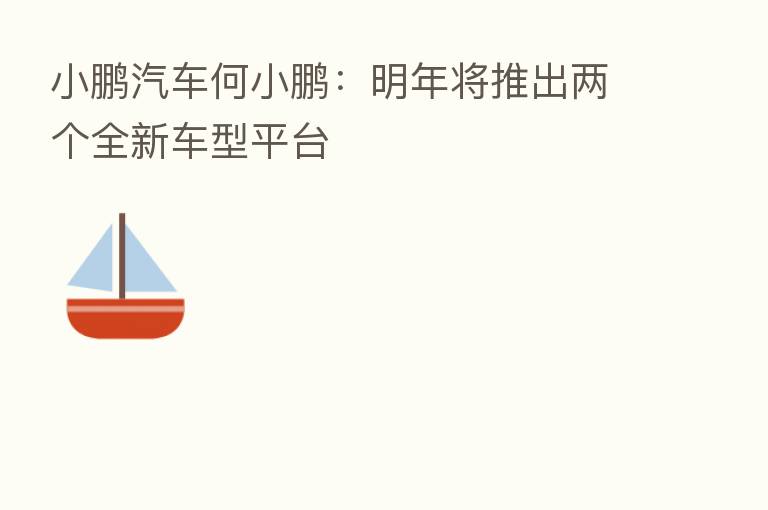 小鹏汽车何小鹏:明年将推出两个全新车型平台
