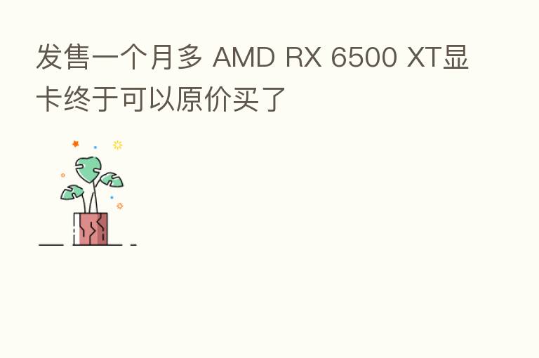 发售一个月多 AMD RX 6500 XT显卡终于可以原价买了