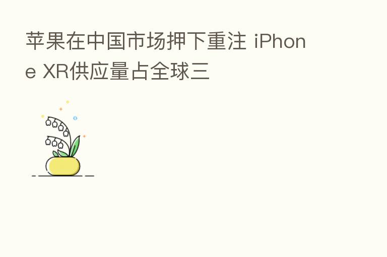 苹果在中国市场押下重注 iPhone XR供应量占全球三