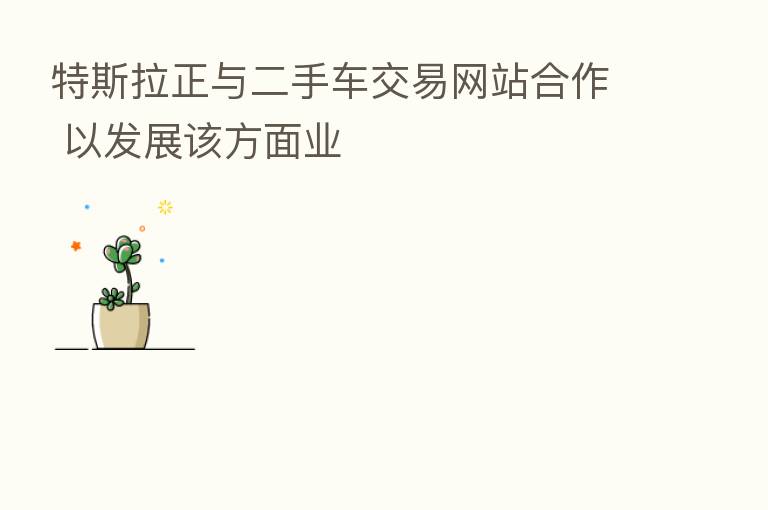 特斯拉正与二手车交易网站合作 以发展该方面业