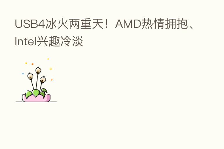 USB4冰火两重天!AMD热情拥抱、Intel兴趣冷淡