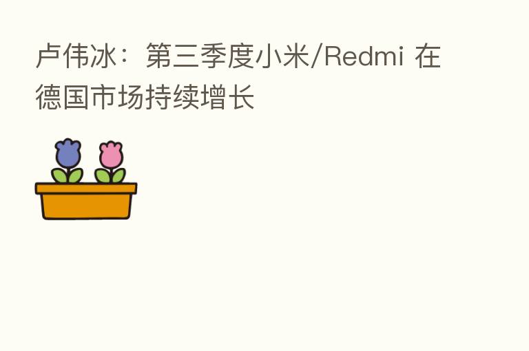 卢伟冰：   三季度小米/Redmi 在德国市场持续增长
