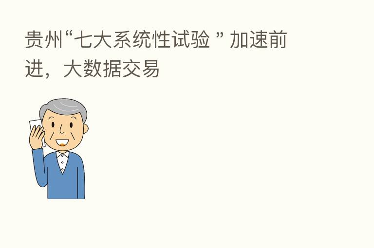 贵州“七大系统性试验＂加速前进，大数据交易