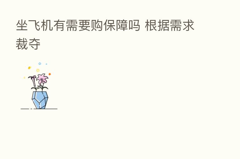坐飞机有需要购保障吗 根据需求裁夺