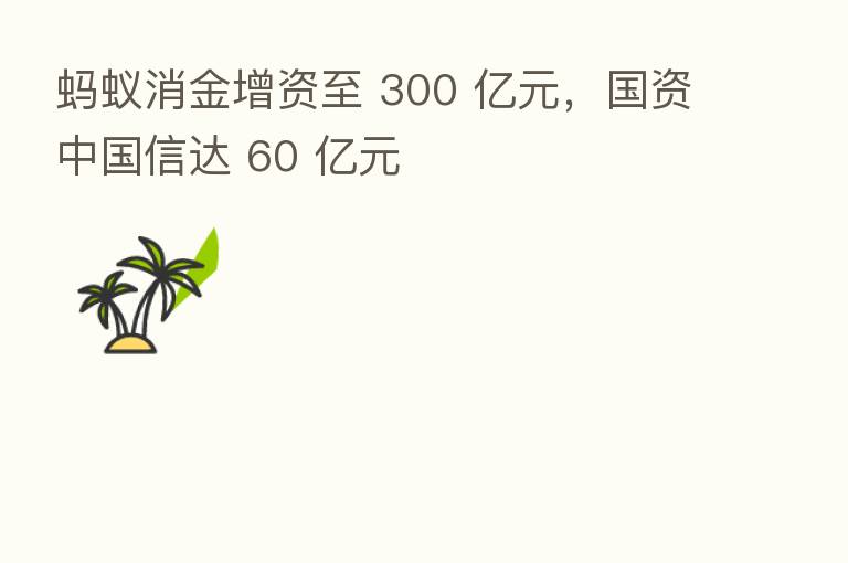 蚂蚁消金增资至 300 亿元,国资中国信达 60 亿元