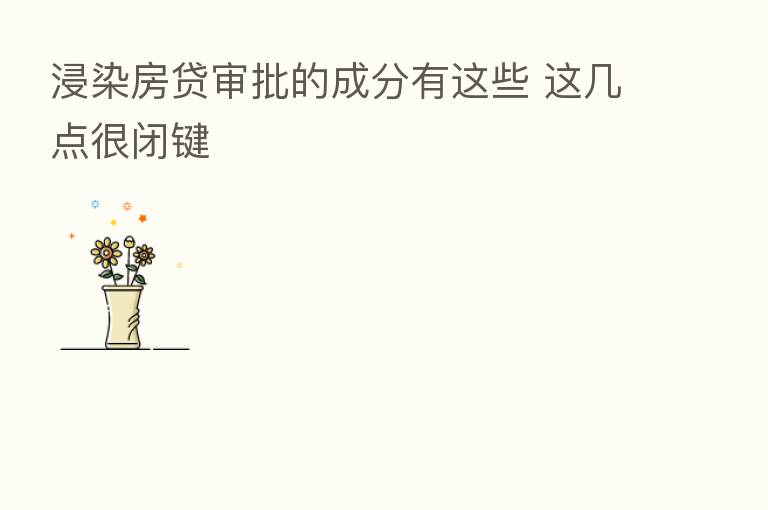 浸染房贷审批的成分有这些 这几点很闭键