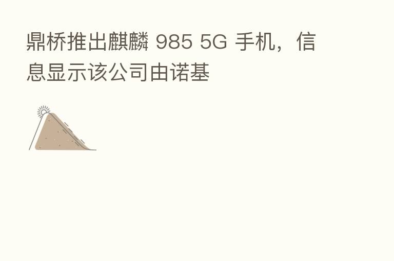 鼎桥推出麒麟 985 5G 手机,信息显示该公司由诺基