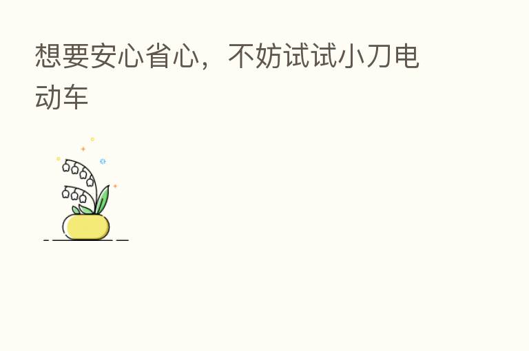 想要安心省心,不妨试试小刀电动车