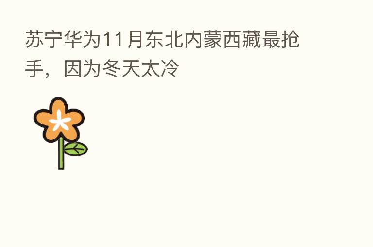 苏宁华为11月东北内蒙西藏 抢手,因为冬天太冷