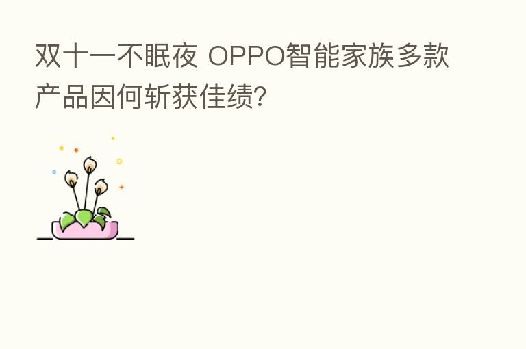 双十一不眠夜 OPPO智能家族多款产品因何斩获佳绩？
