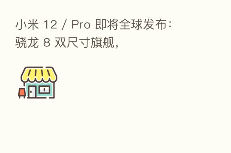 小米 12 / Pro 即将全球发布：骁龙 8 双尺寸旗舰，