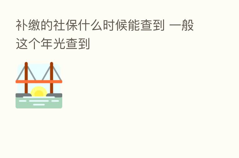 补缴的社保什么时候能查到 一般这个年光查到