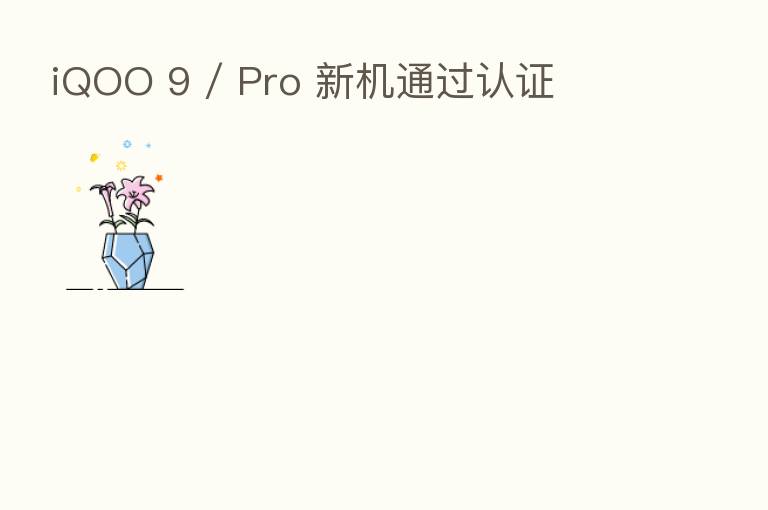 iQOO 9 / Pro 新机通过认证