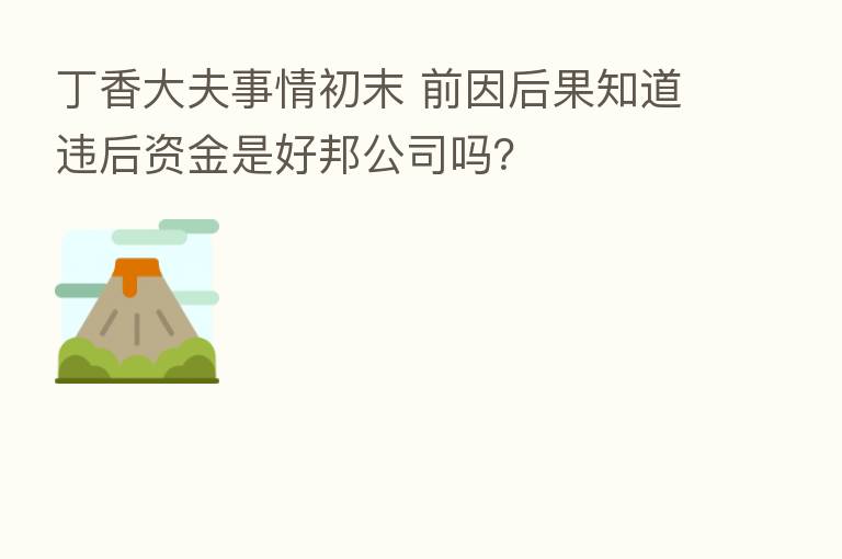 丁香大夫事情初末 前因后果知道违后资金是好邦公司吗？