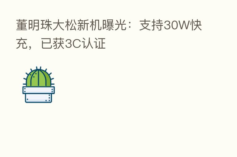 董明珠大松新机曝光:支持30W快充,已获3C认证