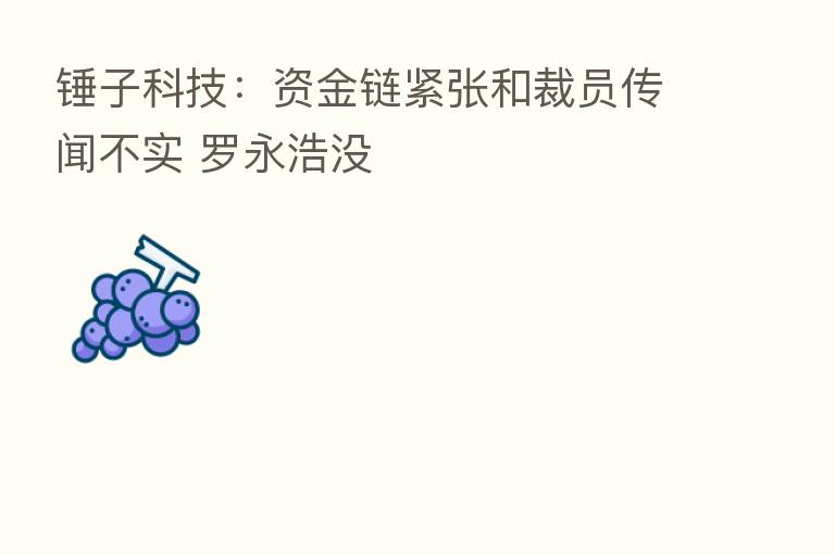 锤子科技:资金链紧张和裁员传闻不实 罗永浩没