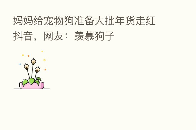 妈妈给宠物狗准备大批年货走红抖音,网友:羡慕狗子
