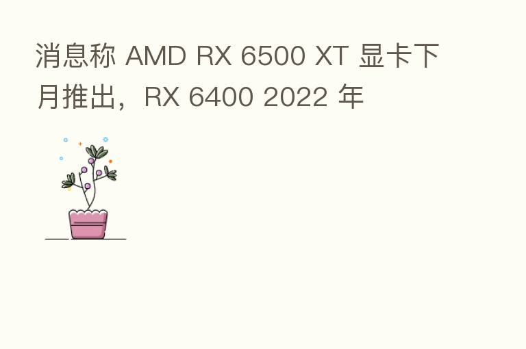 消息称 AMD RX 6500 XT 显卡下月推出，RX 6400 2022 年