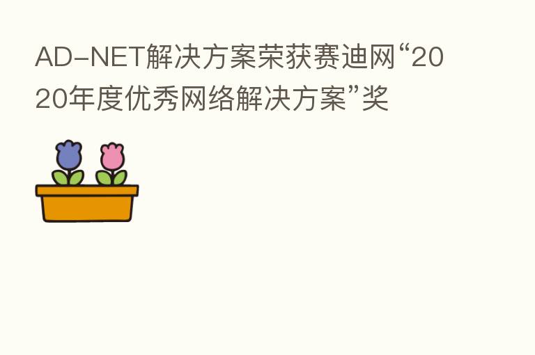 AD-NET解决方案荣获赛迪网“2020年度优秀网络解决方案”奖