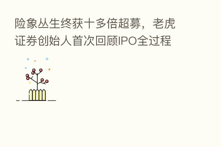 险象丛生终获十多倍超募，老虎证券创始人首次回顾IPO全过程