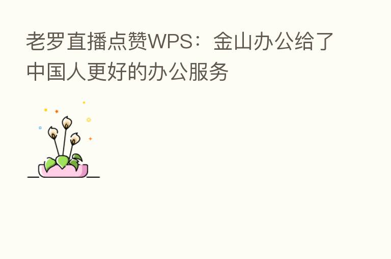 老罗直播点赞WPS：金山办公给了中国人更好的办公服务