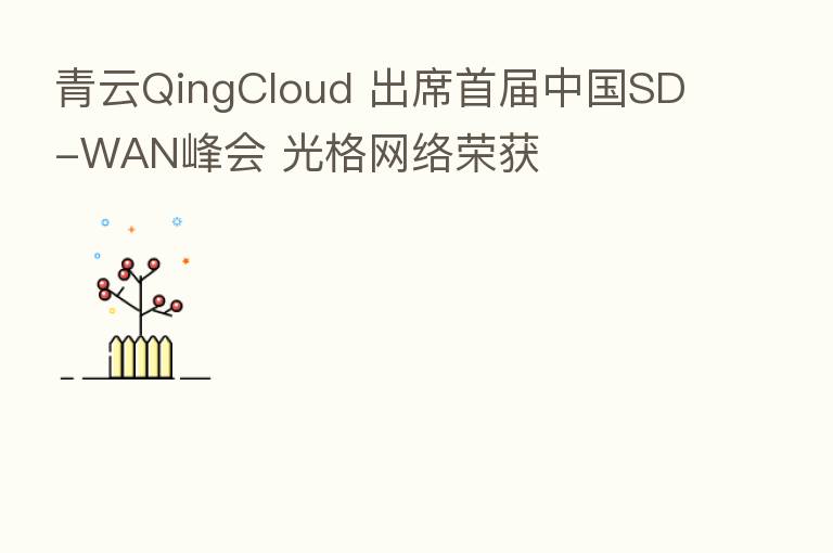 青云QingCloud 出席首届中国SD-WAN峰会 光格网络荣获