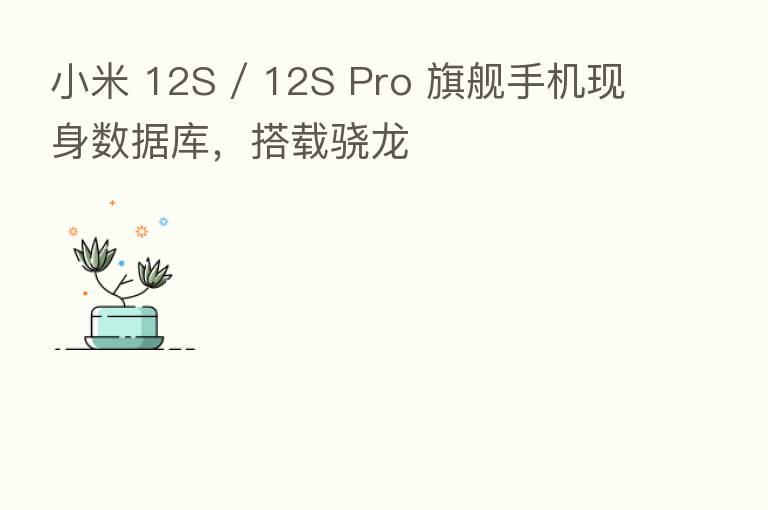小米 12S / 12S Pro 旗舰手机现身数据库，搭载骁龙