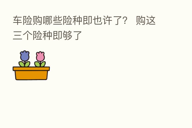 车险购哪些险种即也许了? 购这三个险种即够了