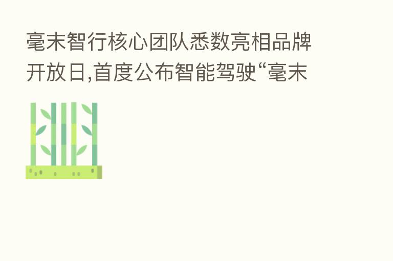 毫末智行核心团队悉数亮相品牌开放日,首度公布智能驾驶“毫末模式”
