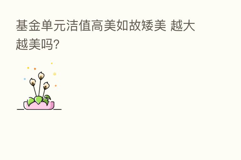 基金单元洁值高美如故矮美 越大越美吗?