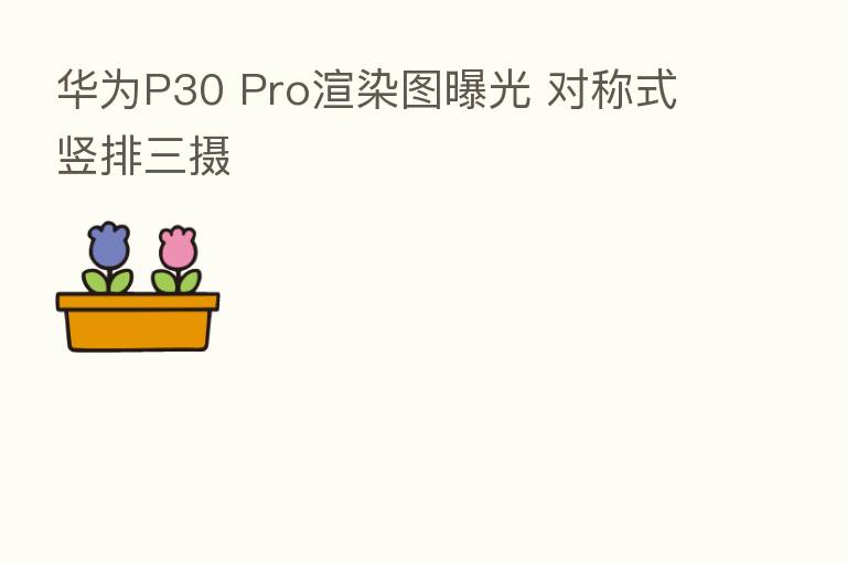 华为P30 Pro渲染图曝光 对称式竖排三摄