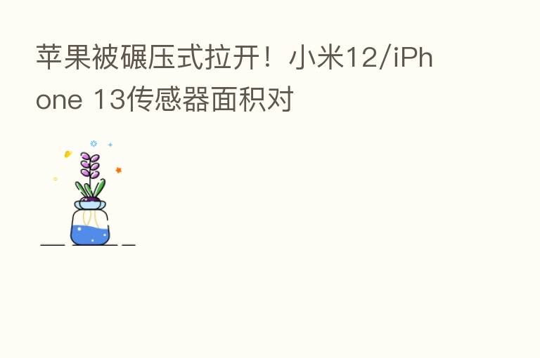 苹果被碾压式拉开！小米12/iPhone 13传感器面积对