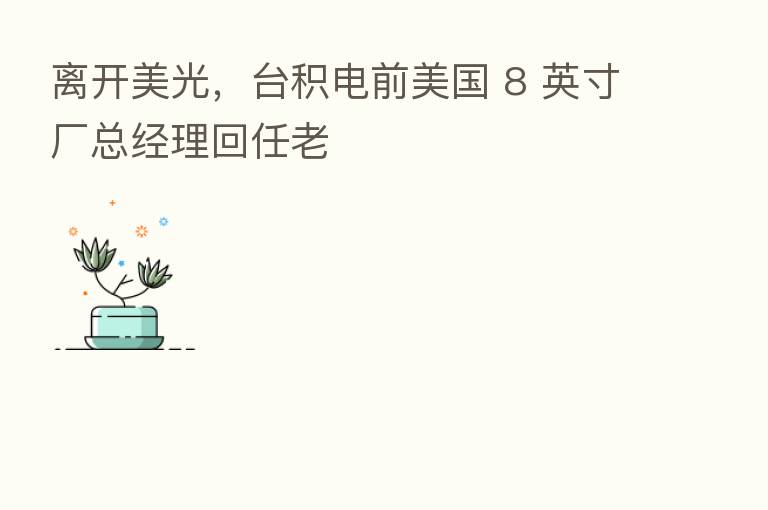 离开美光，台积电前美国 8 英寸厂总经理回任老