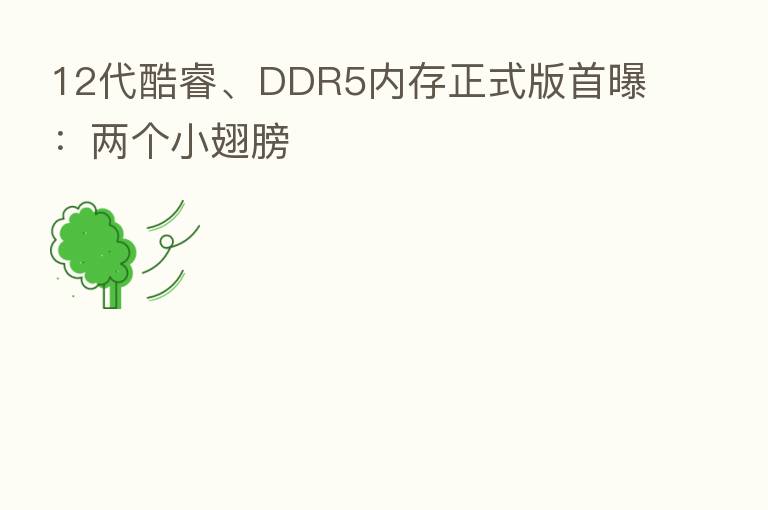 12代酷睿、DDR5内存正式版首曝:两个小翅膀
