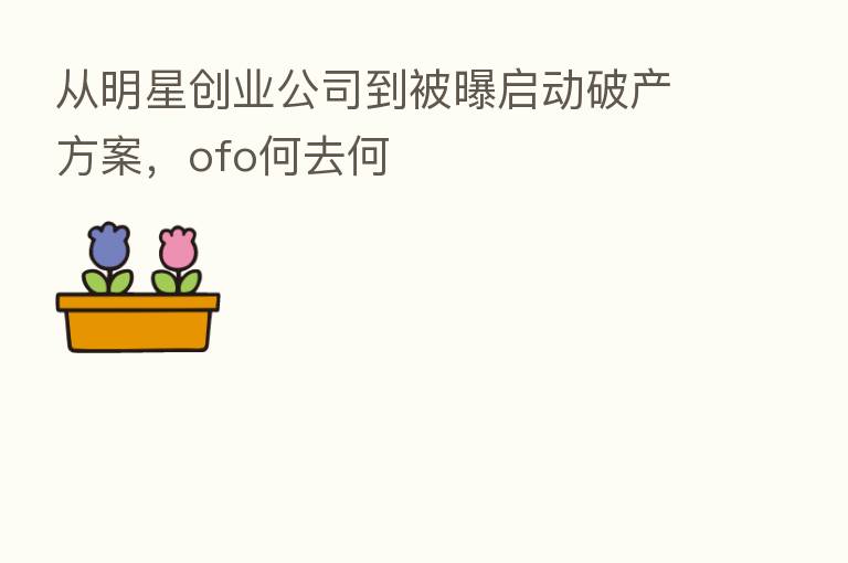 从明星创业公司到被曝启动破产方案,ofo何去何