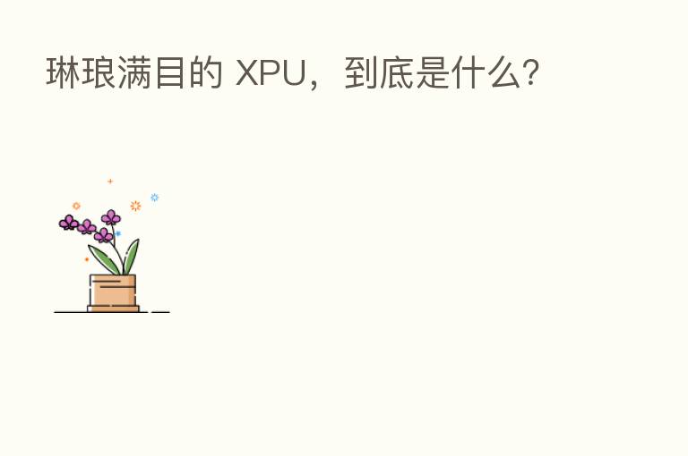 琳琅满目的 XPU，到底是什么？