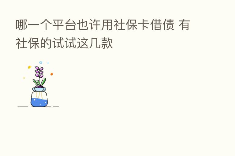 哪一个平台也许用社保卡借债 有社保的试试这几款