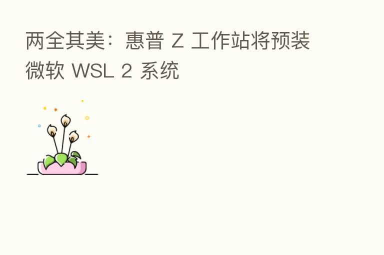 两全其美：惠普 Z 工作站将预装微软 WSL 2 系统